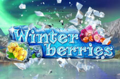 Играть в Winterberries